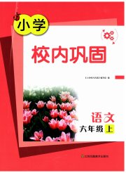小学校内巩固六年级语文人教版