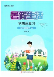 暑假生活学期总复习五年级数学冀教版