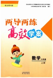 新课标两导两练高效学案六年级数学北师大版