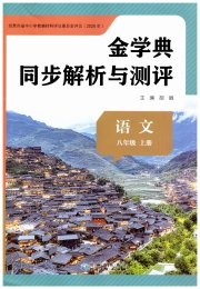 金学典同步解析与测评贵州人民出版社八年级语文人教版