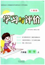 新课程学习与评价六年级数学人教版