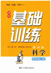 同步实践评价课程基础训练四年级科学教科版