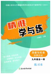 精准学与练九年级历史人教版