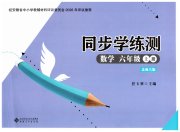 名师讲堂单元同步学练测六年级数学北师大版