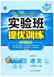 实验班提优训练九年级语文人教版