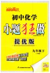 2023年初中化学小题狂做九年级下册人教版提优版