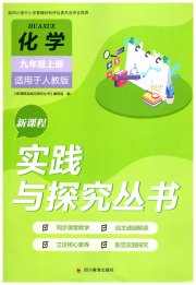 新课程实践与探究丛书九年级化学人教版