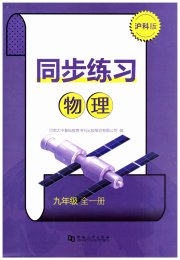 同步练习河南大学出版社九年级物理沪科版