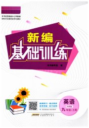新编基础训练九年级英语外研版