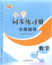 同步练习册分层指导二年级数学青岛版