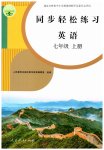 2025年同步轻松练习七年级英语上册人教版