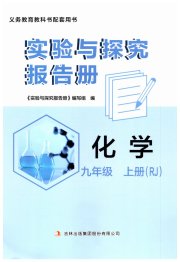 实验与探究报告册九年级化学人教版