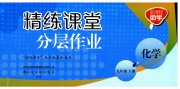 精练课堂分层作业九年级化学人教版