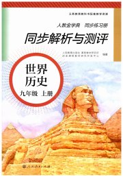 人教金学典同步解析与测评九年级历史人教版
