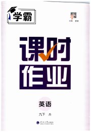 经纶学典课时作业九年级英语江苏版