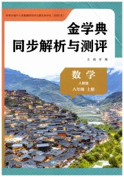 金学典同步解析与测评贵州人民出版社八年级数学人教版