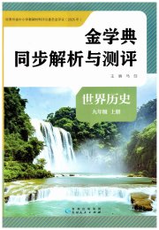 金学典同步解析与测评贵州人民出版社九年级历史人教版