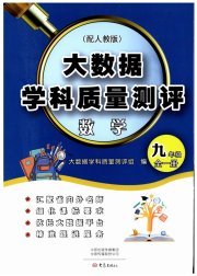 大数据学科质量测评九年级数学人教版