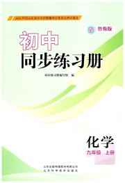 同步练习册山东科学技术出版社九年级化学鲁教版