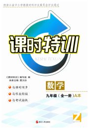 课时特训九年级数学浙教版