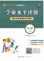 学业水平评价九年级化学人教版