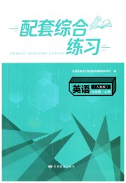 英语配套综合练习九年级人教版北京师范大学出版社