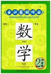 长江暑假作业崇文书局二年级数学北师大版