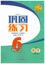 全新巩固练习六年级数学苏教版