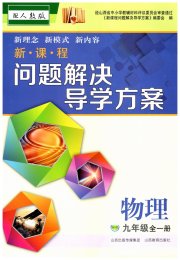 新课程问题解决导学方案九年级物理人教版