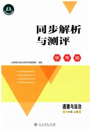 同步解析与测评学考练八年级道德与法治人教版