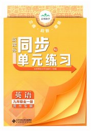 新课标同步单元练习九年级英语人教版贵州专版