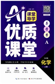 优质课堂导学案九年级化学人教版