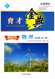育才金典九年级物理教科版