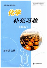 补充习题江苏九年级化学沪教版