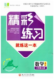 精彩练习就练这一本八年级数学浙教版评议教辅