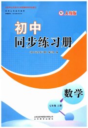 同步练习册山东教育出版社七年级数学人教版