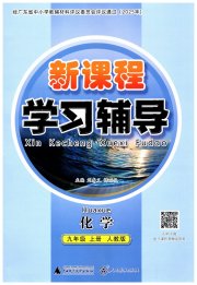 自主与互动学习新课程学习辅导九年级化学人教版