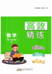 高效精练九年级数学苏科版