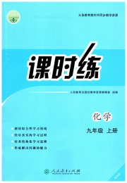 课时练人民教育出版社九年级化学人教版增强版
