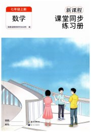 新课程课堂同步练习册七年级数学人教版