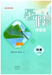 暑假作业本大象出版社八年级物理北师大版