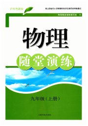 随堂演练九年级物理沪粤版