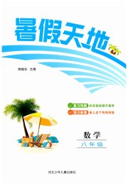 桂壮红皮书暑假天地河北少年儿童出版社八年级数学