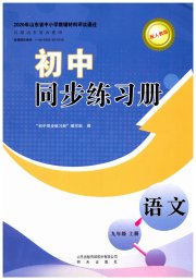 初中同步练习册明天出版社九年级语文人教版