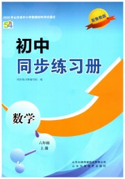 同步练习册山东科学技术出版社六年级数学鲁教版五四制