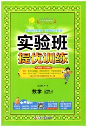 实验班提优训练三年级数学苏教版
