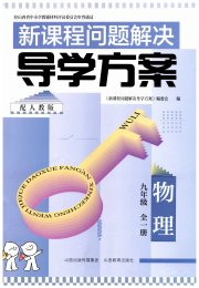 新课程问题解决导学方案九年级物理人教版