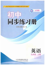 初中同步练习册九年级英语人教版