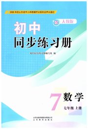 同步练习册山东教育出版社七年级数学人教版