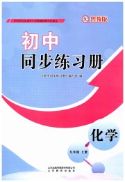 同步练习册山东教育出版社九年级化学鲁教版